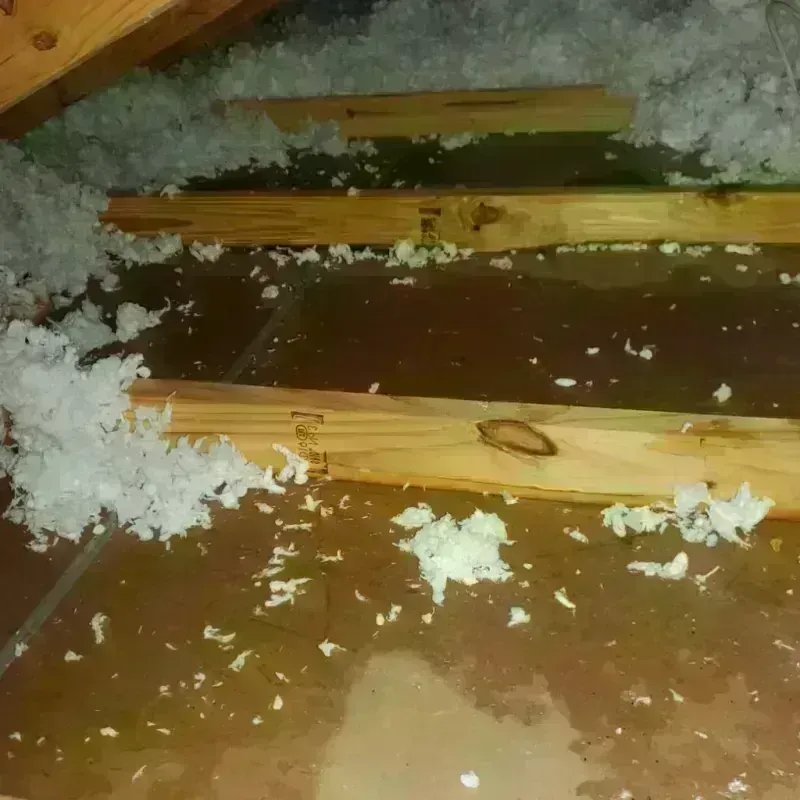 Attic Water Damage in Plumas Lake, CA