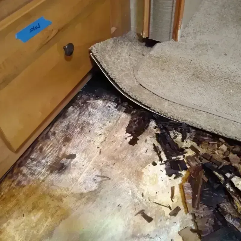 Wood Floor Water Damage in Plumas Lake, CA